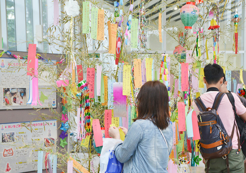 [Canceled] Goryokaku Tower Tanabata Festival